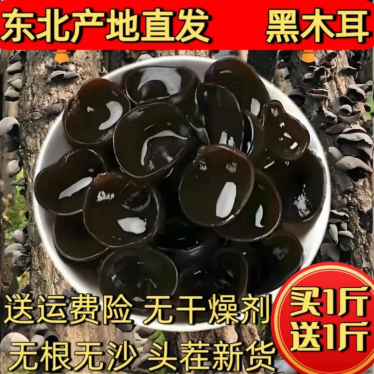 【头茬热卖东北秋木耳】小碗耳软糯原产地发货肉质厚实无根沙黑木耳