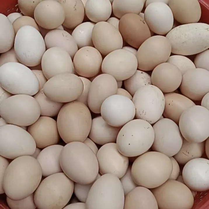 （富硒无抗土鸡蛋）长寿之乡林间散养玉米鸡土鸡蛋30个
