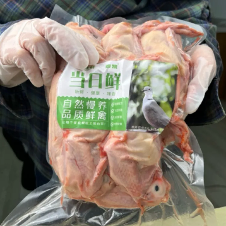 <三伏喝鸽汤>渡鼎生态散养草鸽3只装/750克