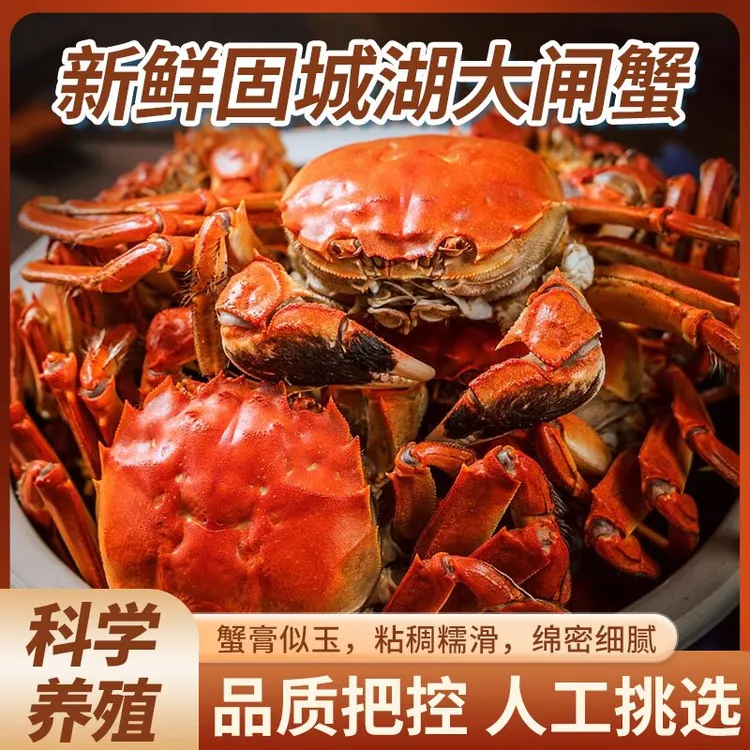 【活蟹】固城湖大闸蟹3.0两母4只+4.0两公4只机塘养河蟹顺丰鲜活