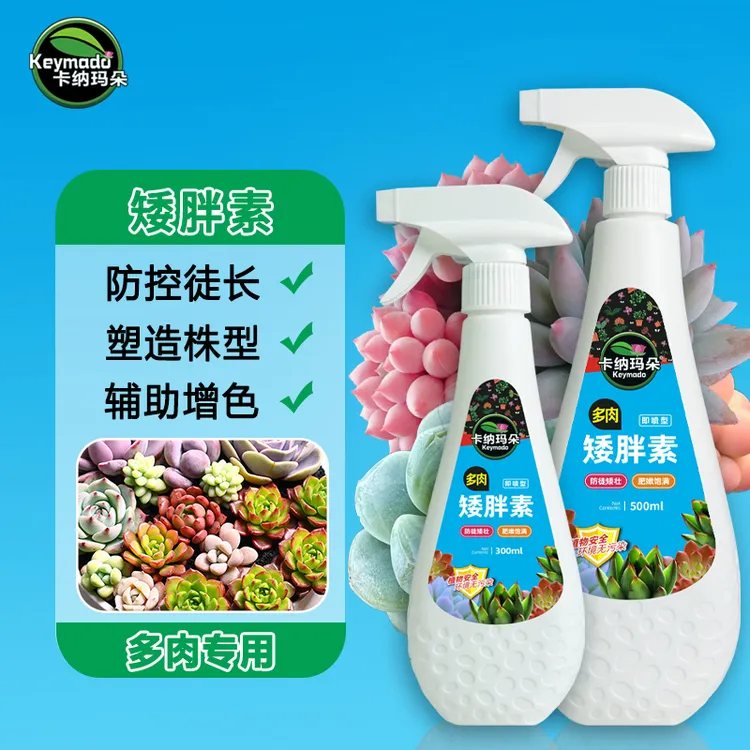 矮胖素多肉太阳花防徒长控型增肥增色植物营养液园艺花肥