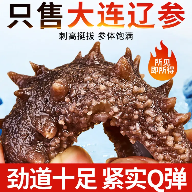 海参【新客尝鲜】老参舫大连瓦房店海参即食海参特大新鲜辽刺参商品图