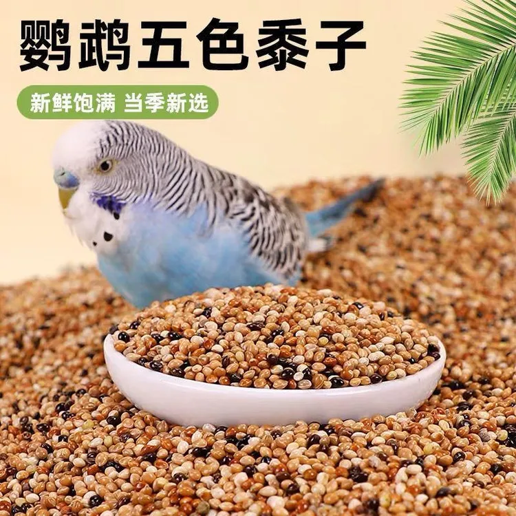 鹦鹉鸟粮饲料鸟食五色黍子带壳小米黄谷子玄凤虎皮牡丹珍珠鸟粮食