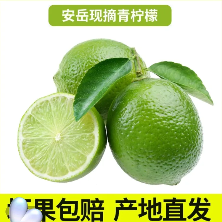 【正宗安岳优力克青柠檬】新鲜采摘皮薄多汁果香浓郁