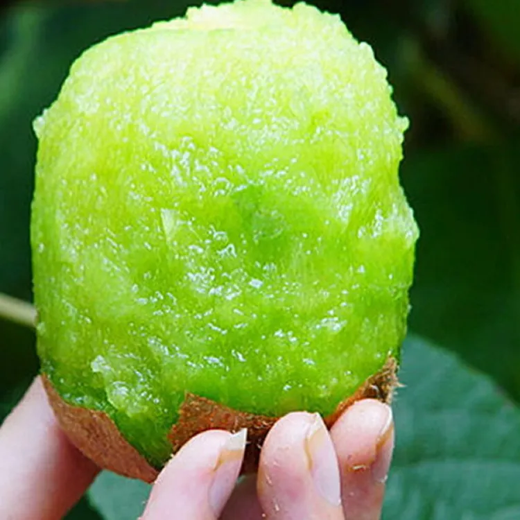 陕西眉县绿心徐香猕猴桃新鲜水果香甜多汁维C丰富