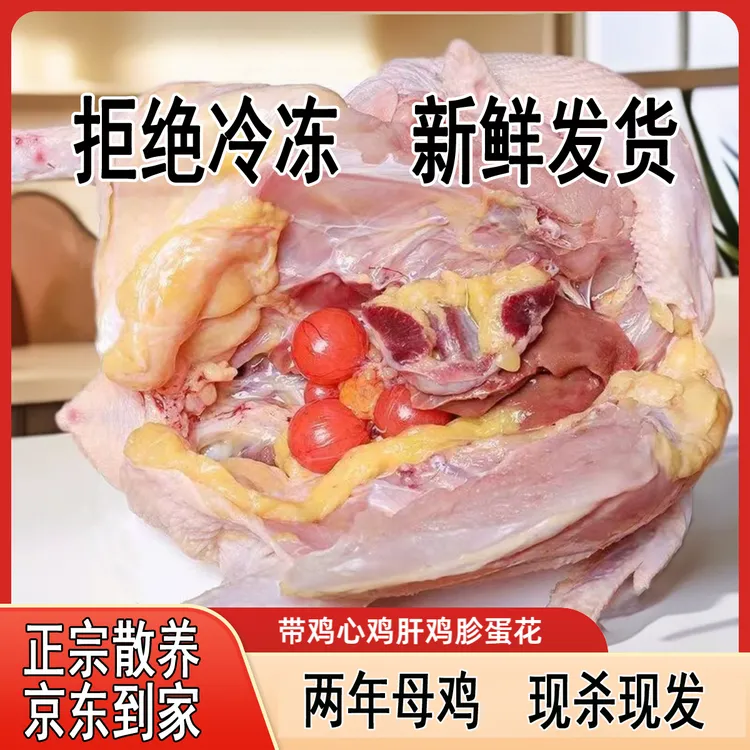京东到家农家散养新鲜现杀老母鸡孕妇补充营养丰富