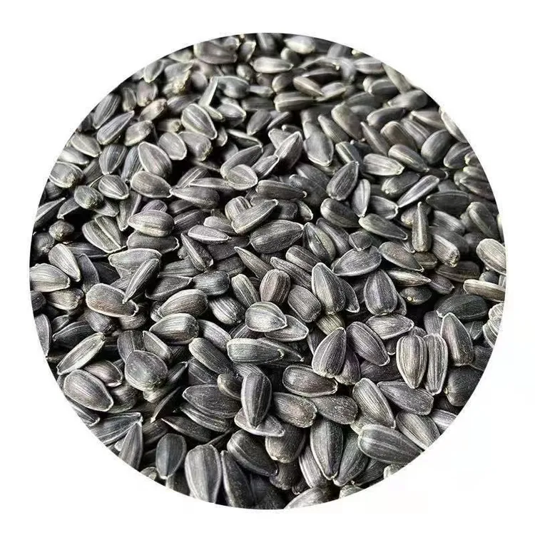 新货适合牡丹玄凤鹦鹉鸟粮小瓜子油葵籽仓鼠零食粮中小型鸟食饲料