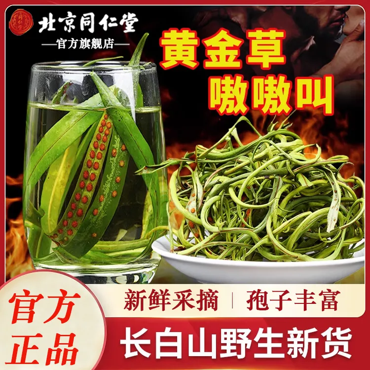 北京同仁堂肾精草正宗吉林长白山嗷嗷叫黄金草大哥的茶肾精茶AEV
