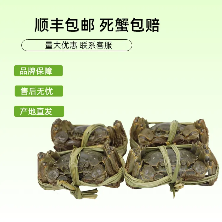 渔坞鲜活洪泽湖河蟹精品湖蟹公蟹2.0-2.3两8只装鲜活现货顺丰包邮