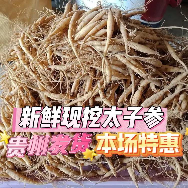 贵州新鲜现挖252克太子参儿童成长煲汤泡水无硫原产地