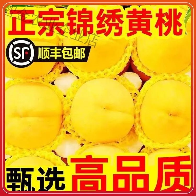  【顺丰包邮】 正宗锦绣黄桃新鲜水果黄肉脆甜多汁锦绣现摘现发