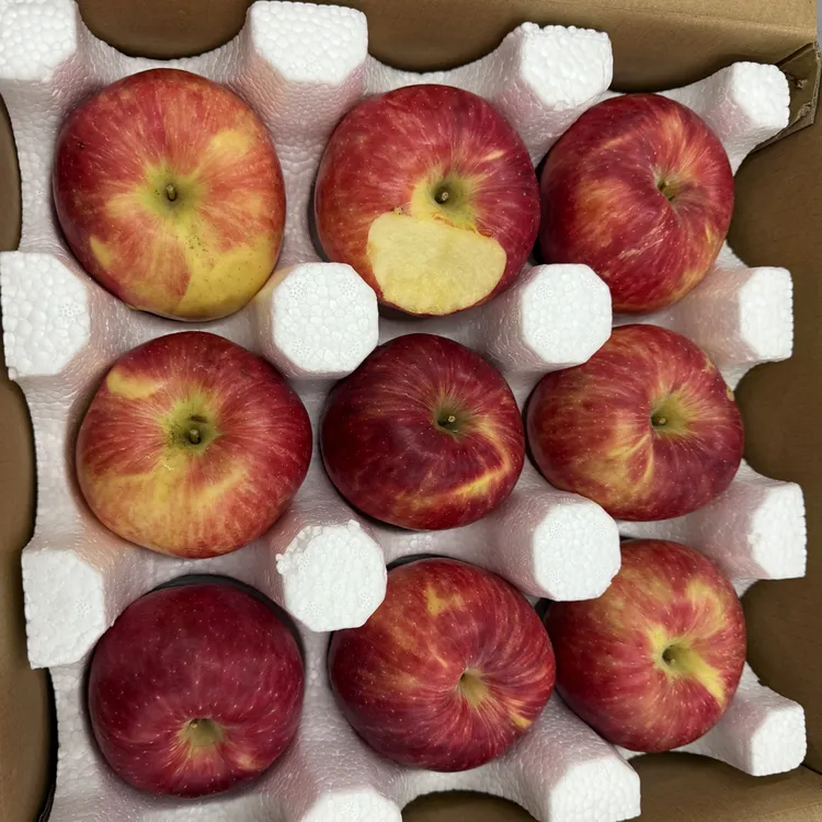 秦脆大果带冰雹疤不影响食用9颗净重5.5斤脆甜皮薄多汁