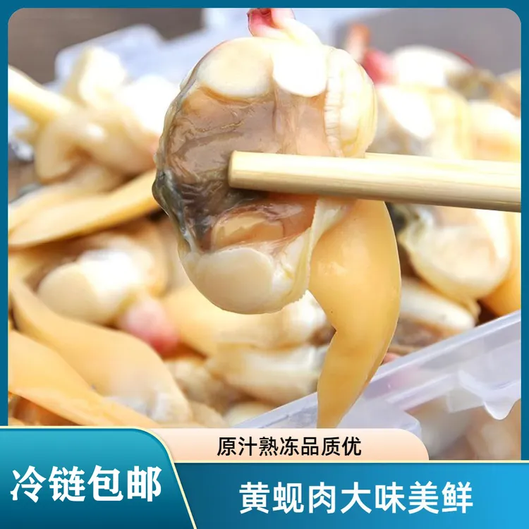 鲜冻黄蚬子肉 纯肉 大号 去壳 无沙 新鲜美味 颗粒饱满