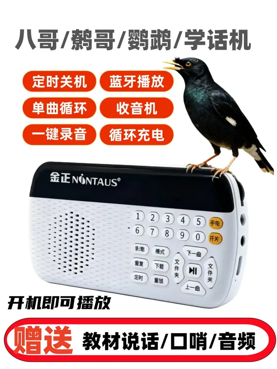 鸟用八哥虎皮小太阳鹦鹉学话训练器鸟叫声播放学舌说话录音复读机