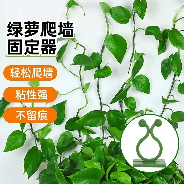 绿萝爬上神器爬墙上绿箩固定器绿植攀爬夹子墙上无痕挂钩粘爬藤杆