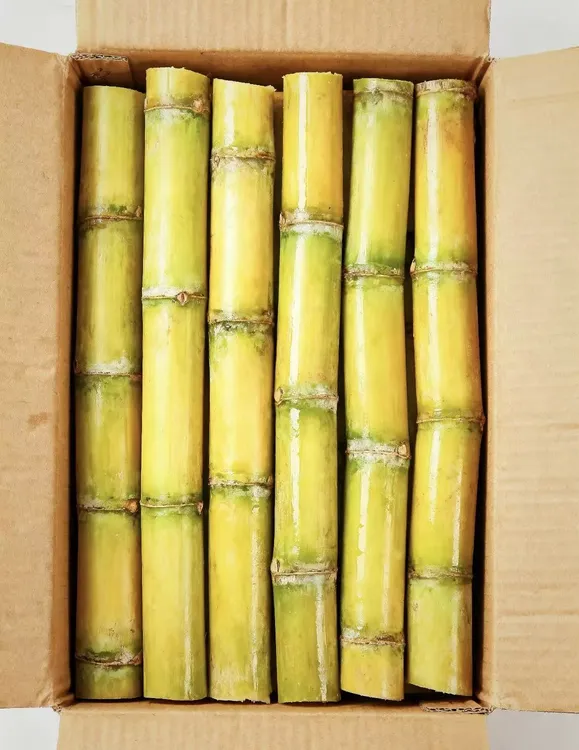 【黄金甘蔗】云南新鲜黄金甘蔗当季水果汁多清甜不齁甜产地直发商品图