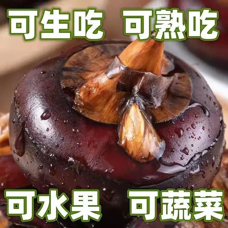 湖北新鲜带泥马蹄果荸荠地雷子红皮脆甜当季水果农家种植现挖包邮