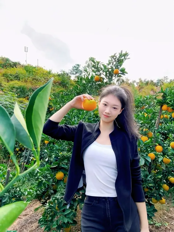 正宗江西赣州（宁都）赣南脐橙新鲜当季水果橙子产地直发手剥冰糖橙