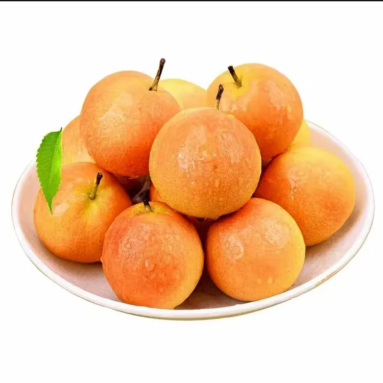 家庭装,正宗鞍山细皮南果梨(红果)软糯香甜多汁