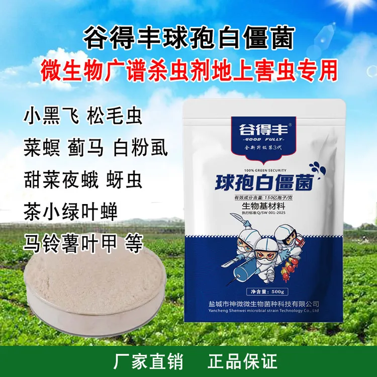 球孢白僵菌营养微生物菌剂绿色粉剂农用广谱蓟马红蜘蛛蚜虫菜青虫
