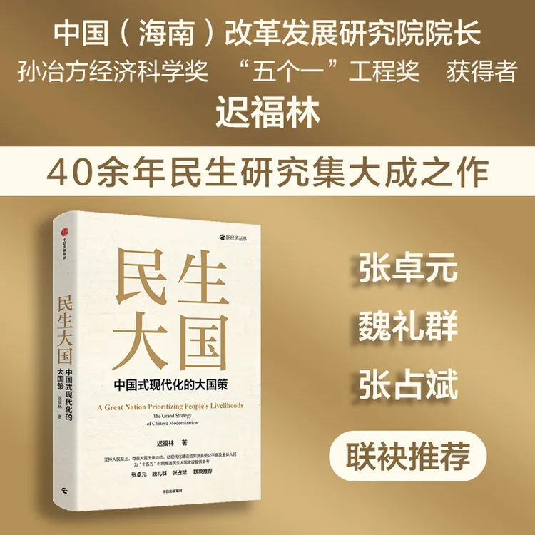 民生大国：中国式现代化的大国策 迟福林著 民生研究 十五五 图书