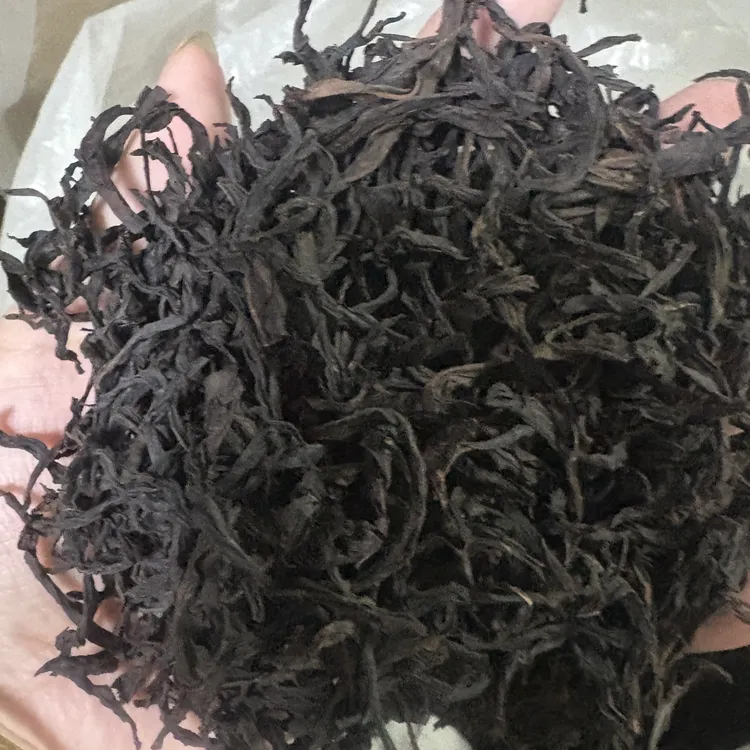 二春凤凰单丛茶老枞鸭屎香