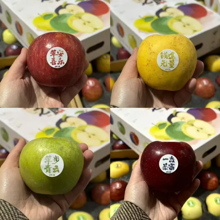高原彩色苹果礼盒---彩苹之原（顺丰包邮）