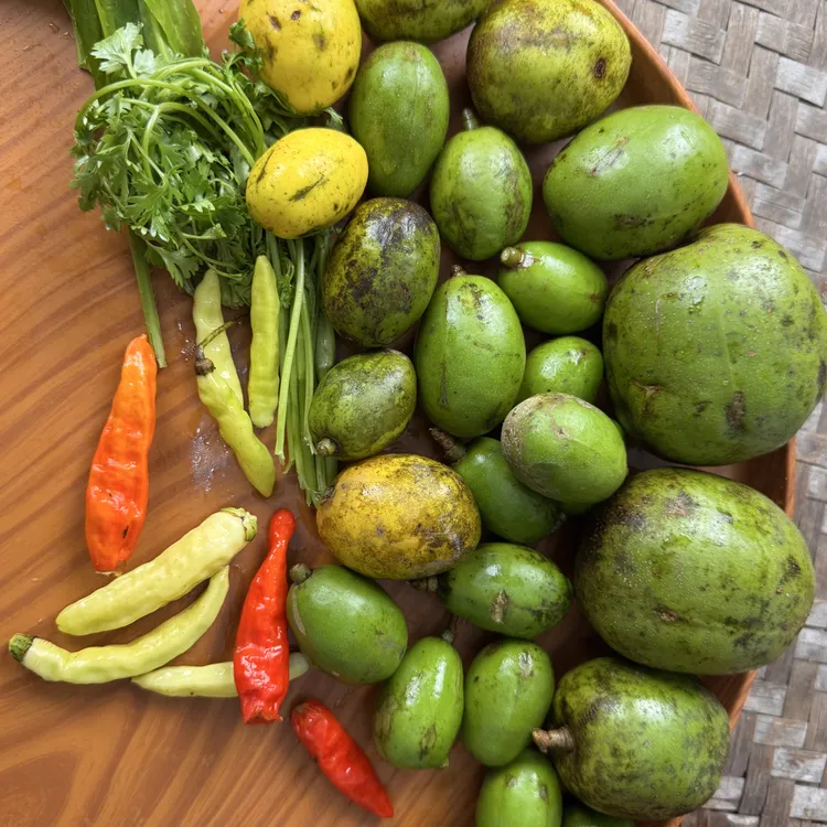 云南西双版纳嘎哩啰新鲜特产鲜果青果现摘妈咪孕妇罕见水果咳地佬