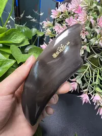 板娘专享 白水黑金刚波浪单板微瑕福利随机发货不退不换 -X467