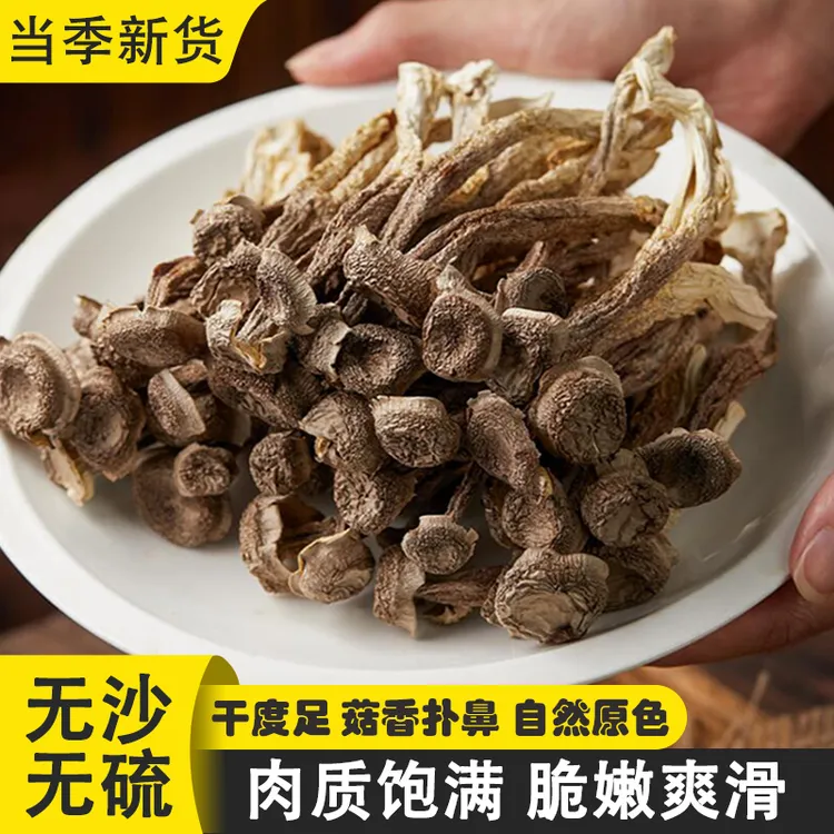 精选鹿茸菇干货煲汤食材香菇蘑菇炒肉脆脆菇菇干鹿茸菌250g无硫