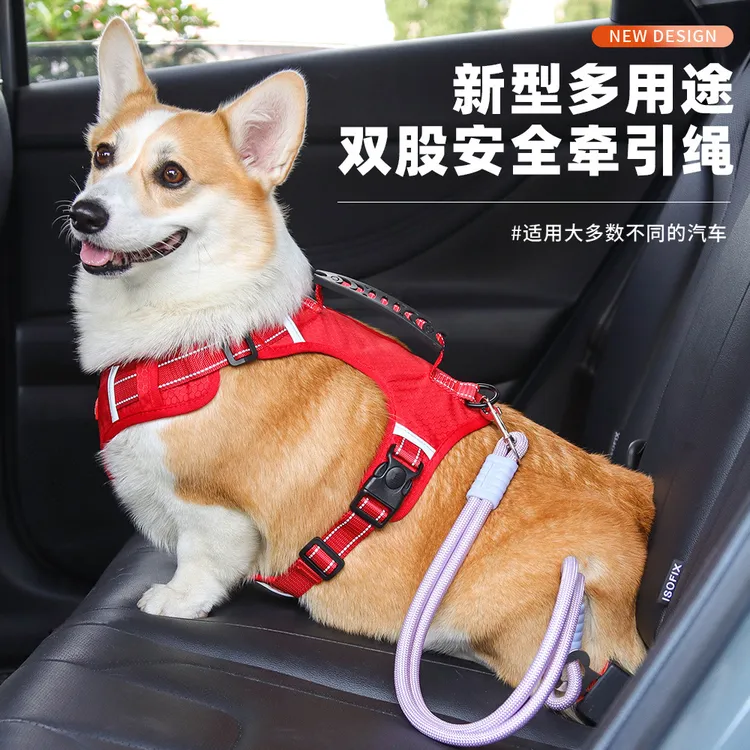 新型宠物多用途双股安全牵引绳安全出行标准安全插扣车载牵引绳