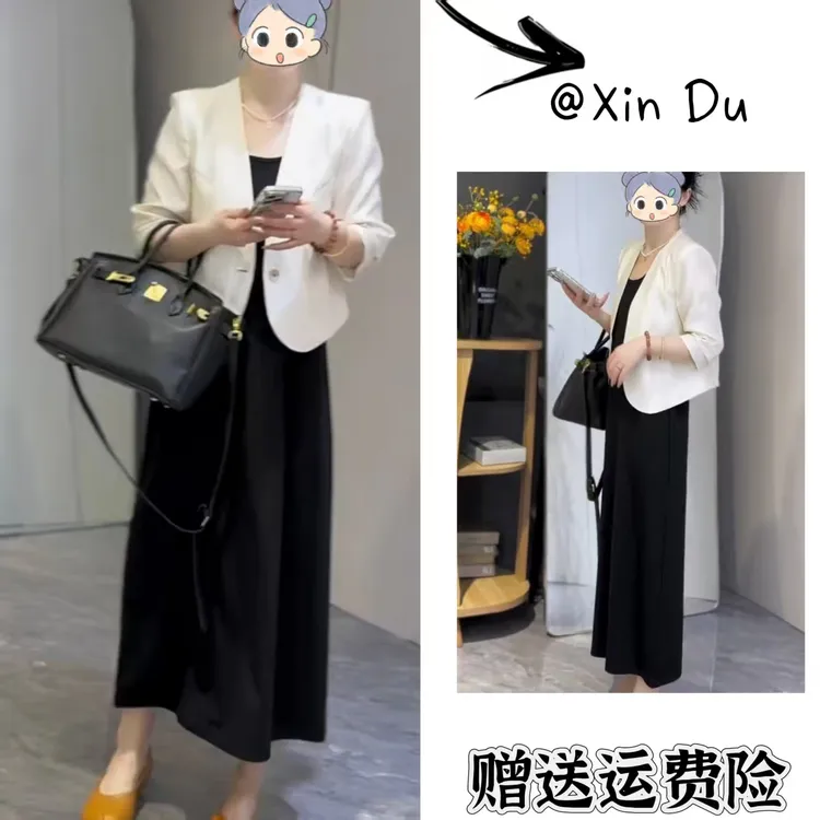 2025秋季新款时尚显瘦气质女士网红洋气两件套百搭款D22870