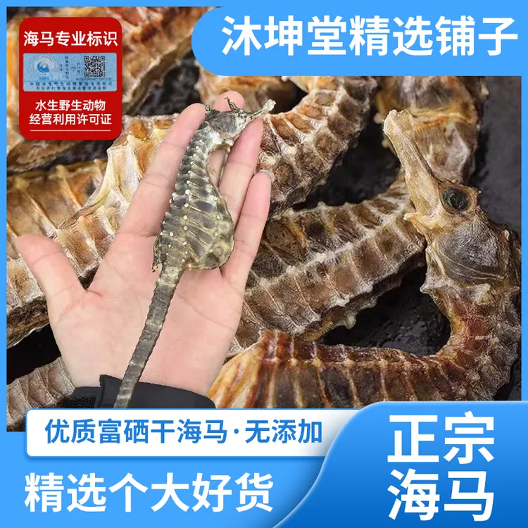保真正品北方冷水海马干原产地直发足干秋冬滋补3g4g礼盒过年礼盒