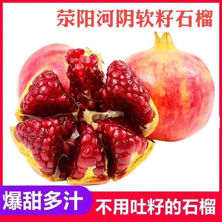2025河南突尼斯软籽石榴3/5斤新鲜现摘纯甜多汁不吐籽坏了包赔