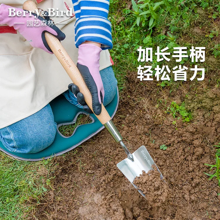 Berry&Bird园艺森林户外种花中柄小型工具挖掘松土移植不锈钢叉子
