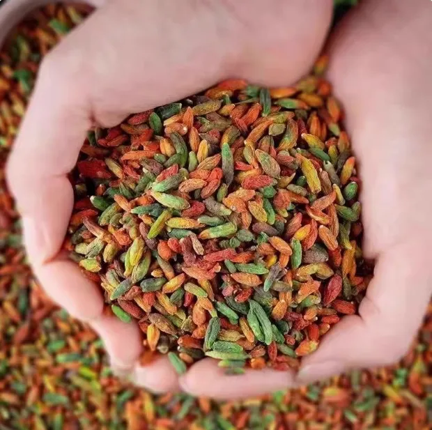 【跑山助农●七彩枸杞】云南特产七彩枸杞 干净无杂 泡水 泡酒 煲汤