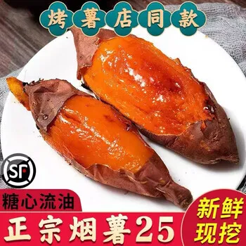 山东烟薯25号蜜甜流油农家自种沙地烤薯店地瓜板栗红薯烟台蜜薯