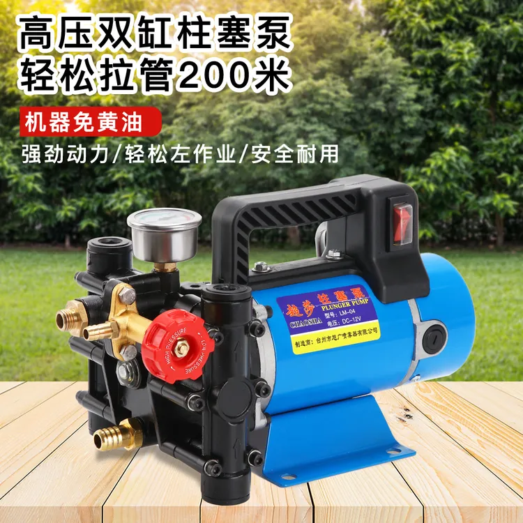 手提式打药机农用电动果树喷雾器12V48V60V220伏高压双缸柱塞药泵