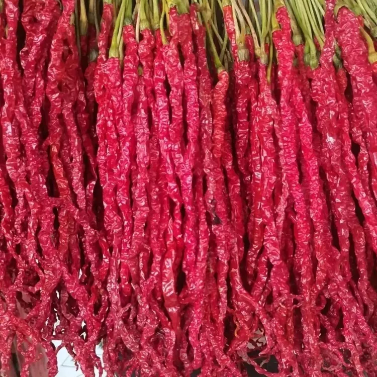 可留种精品贵州大方皱椒鸡爪辣微辣特香干贵州辣椒红辣椒