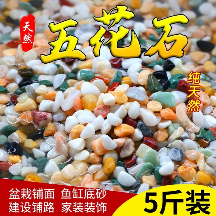 天然彩石鱼缸专用铺底砂多肉盆栽铺面石子五彩石头雨花石造景摆件