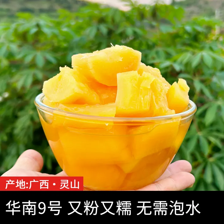 广西华南9号黄心木薯 免泡水新鲜现挖面包木薯