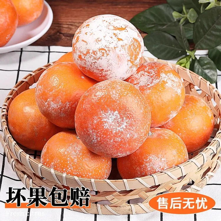 广西茂谷柑新鲜正宗当季孕妇水果薄皮脏脏柑橘桔子石灰大果5/10斤