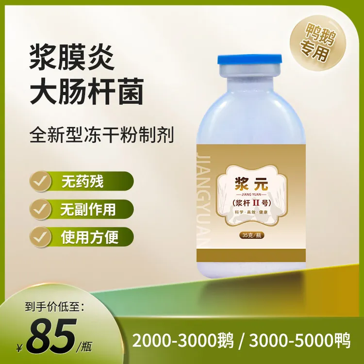【浆元】冻干粉专用于预防浆膜炎大杆，浆膜炎克星【35克】新款