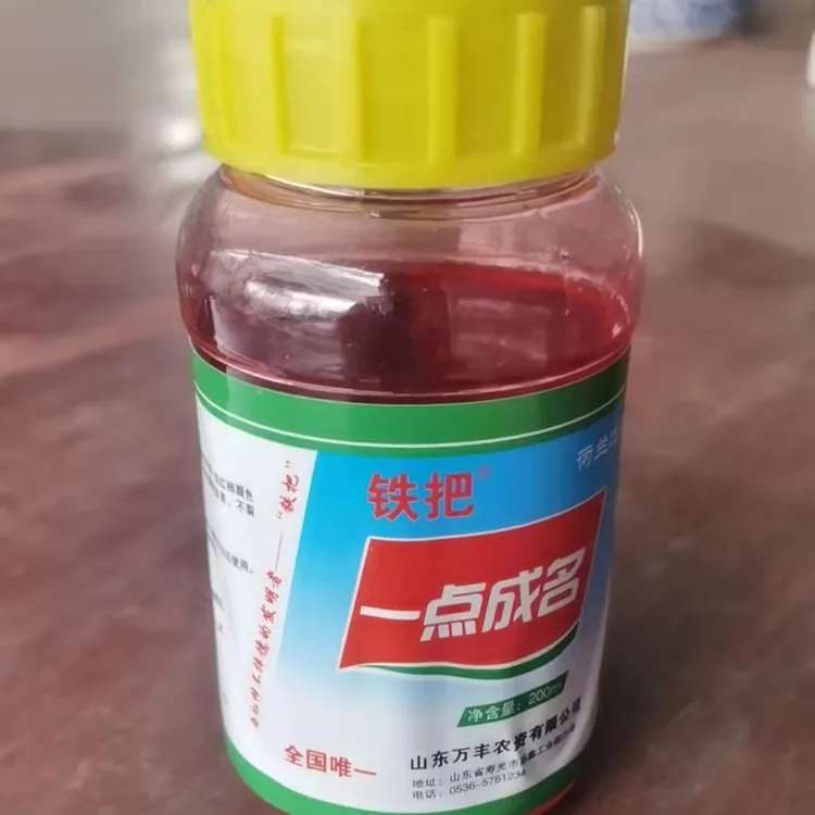 铁把~一点成名新品效果好。