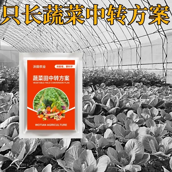 蔬菜专用不伤农作物不影响生长升级版中转套装方案蔬菜中转方案