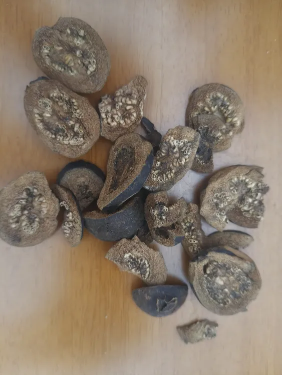 泡茶佳品番石榴番石榴干片幼果干纯人工晾晒无任何添加正宗