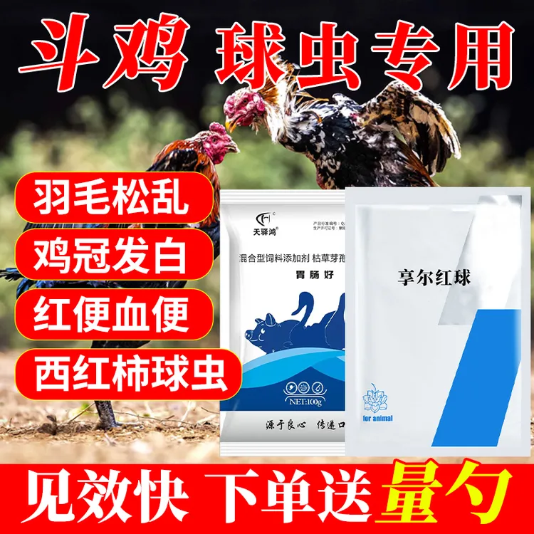 【斗鸡】红便西红柿粪便球虫精神不好纯植物提取