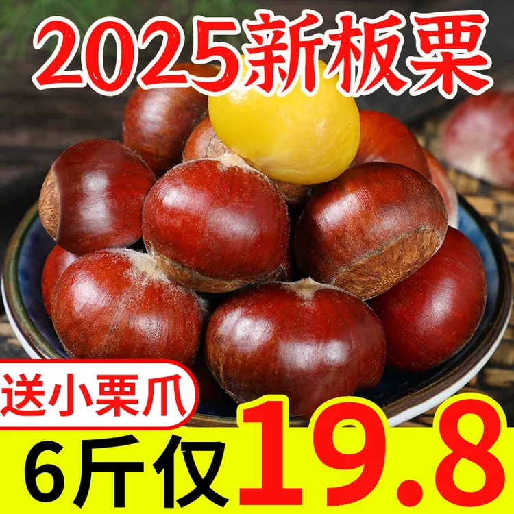 板栗6斤去刺球新鲜生栗子大板栗东北菜栗蔬菜批发5新货大果粉糯甜