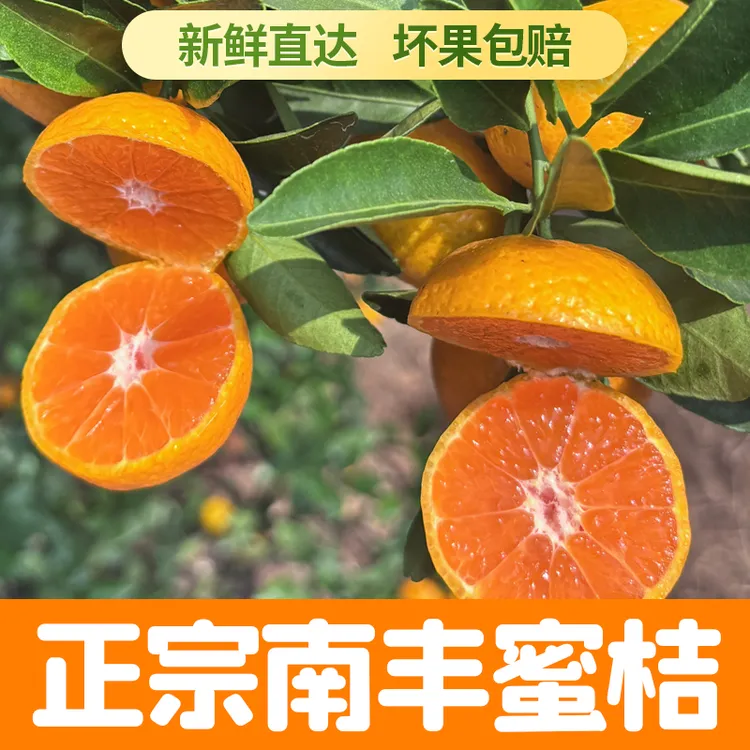 南丰蜜桔孕妇水果原产地直发批发价酸甜适口