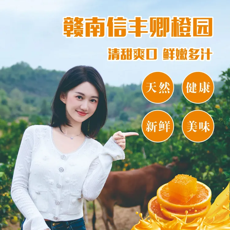 【含丹专属】正宗新鲜爆汁赣南（信丰）脐橙产地现摘现发